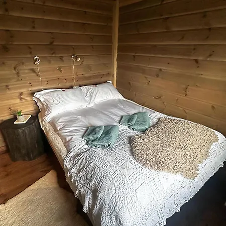 Nyaraló Modern Hand-crafted Log Dovreskogen